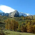 Гостевой дом Grand Golliat