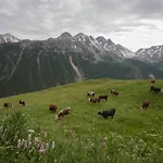 Гостевой дом Grand Golliat