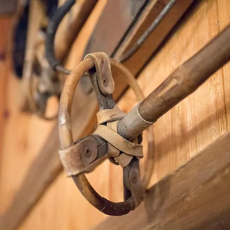 Grand Golliat 3* 萨伊恩特-雷米-恩-博塞斯